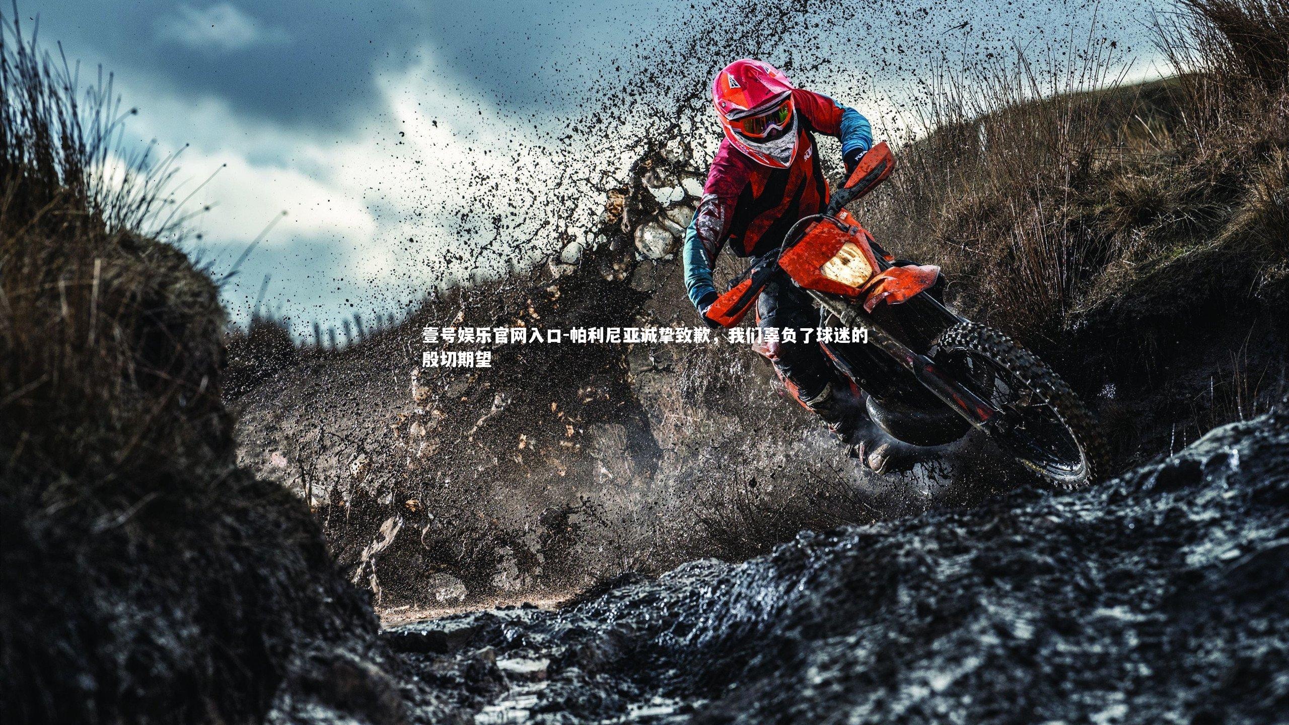 壹号娱乐官网入口-帕利尼亚诚挚致歉，我们辜负了球迷的殷切期望